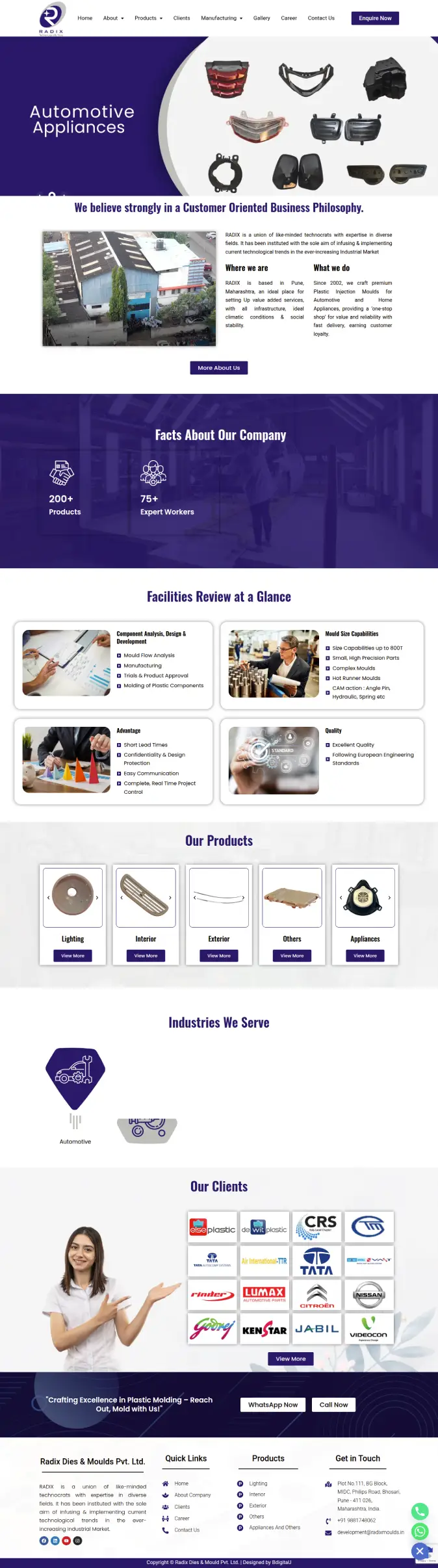 Radix Moulds Website Screenshot
